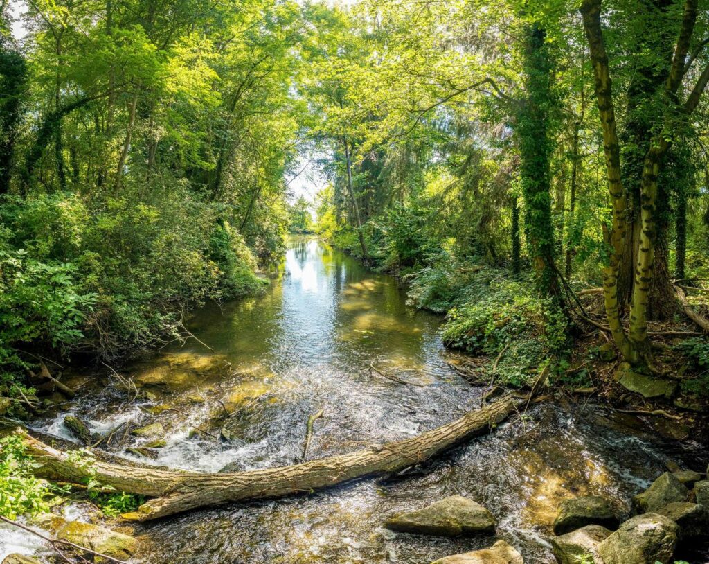 milieux naturels Erstein