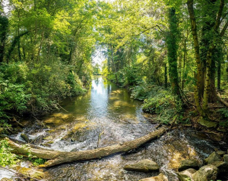 Milieux naturels