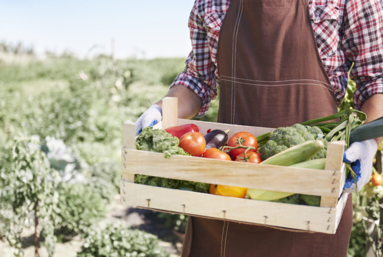 Vente à la ferme et producteurs